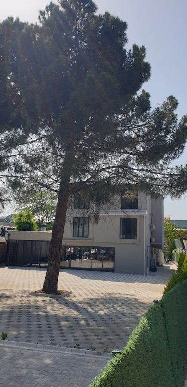 Бурса: Bademli Pino Otel