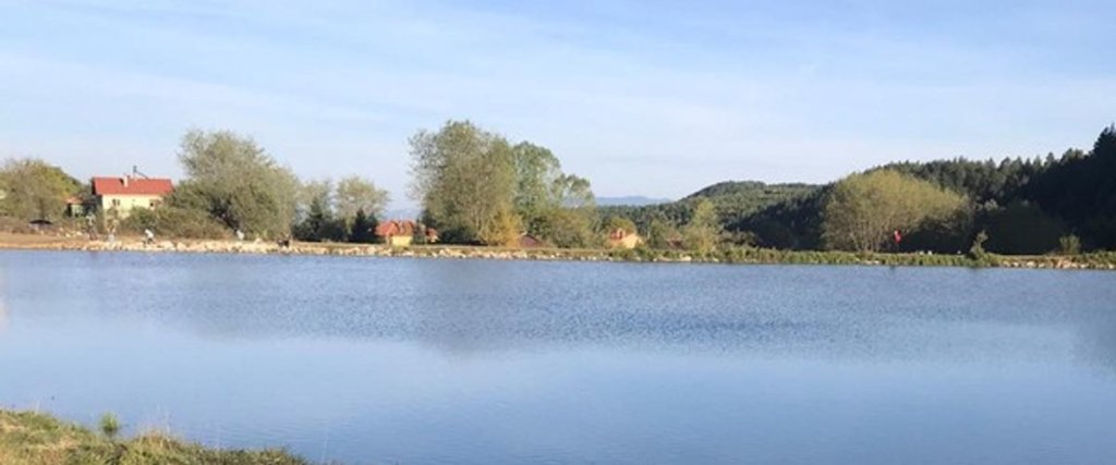 Болу: Alp Tekinalp Villalari