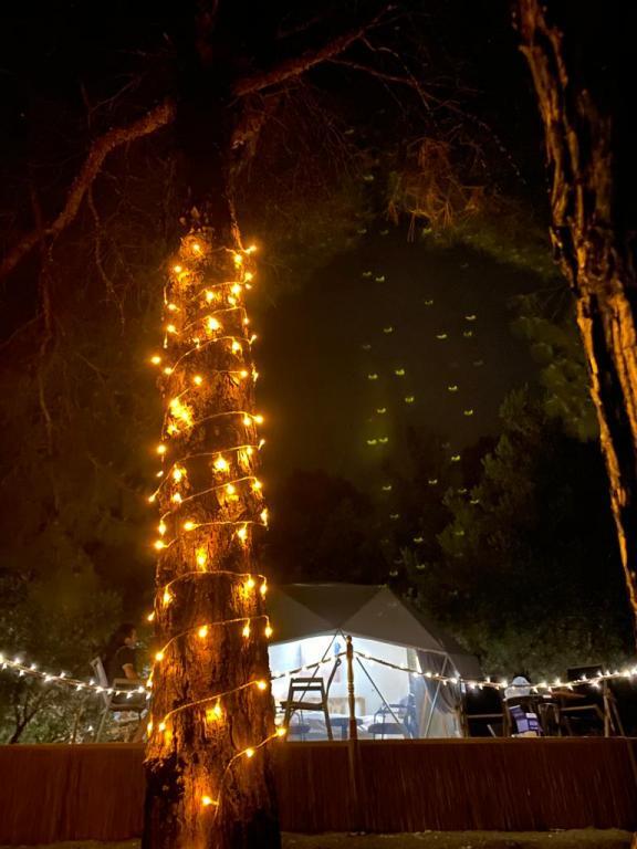 Foca Dome Glamping Suits — фото 5