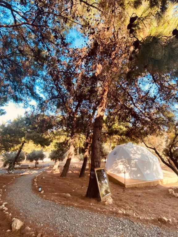 Foca Dome Glamping Suits — фото 3