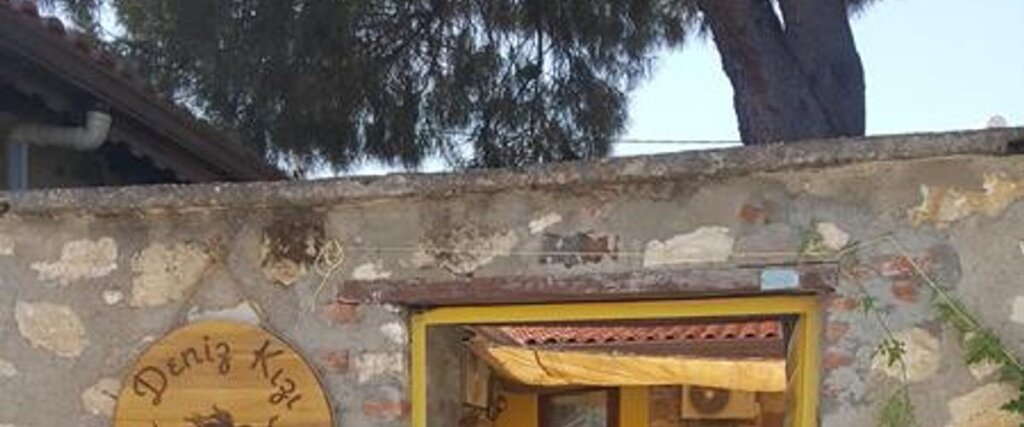 Denizkızı Pansiyon — фото 1