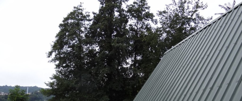 Ардешен: Habura'da Bungalow
