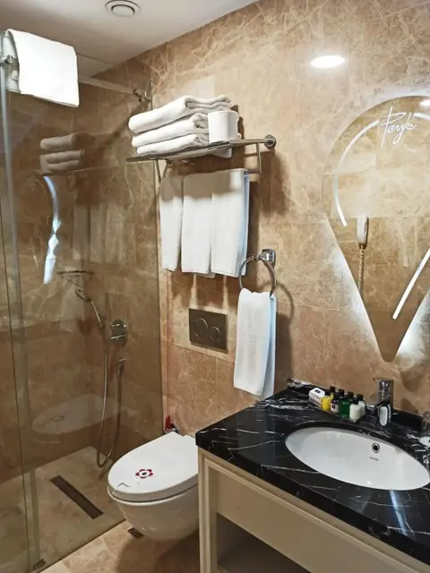 Стамбул: Peyk Hotel