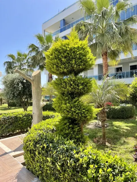 Аланья: Апартаменты SA Nice 1bd Flat
