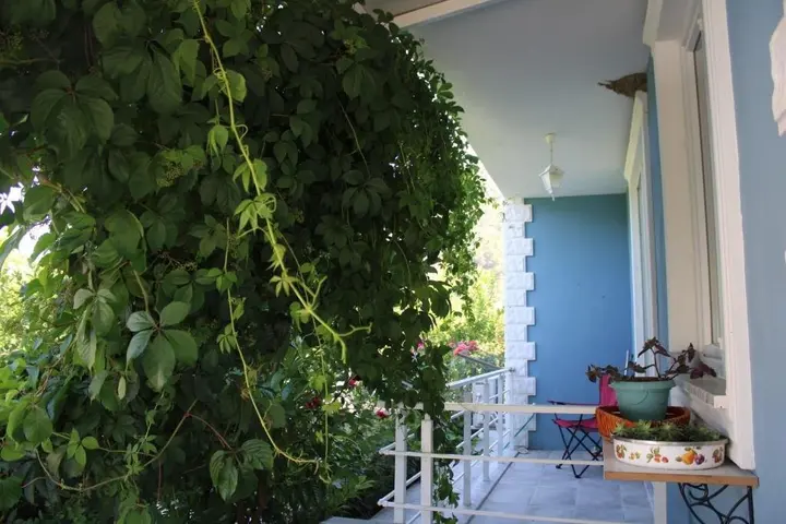 Дальян: Villa Dionyssos