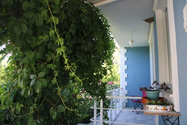 Дальян: Villa Dionyssos