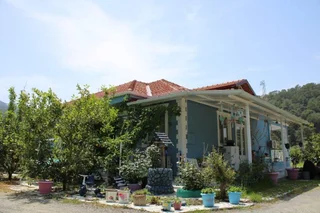 Дальян: Villa Dionyssos