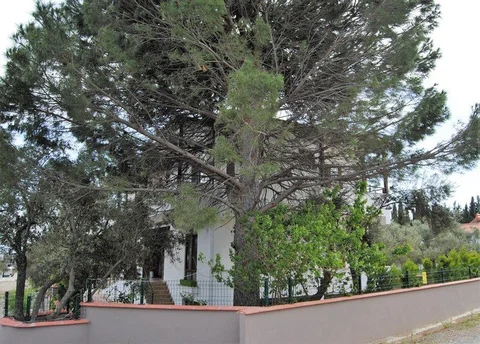 Эдремит: Beyaz Konak Gure Butik Otel