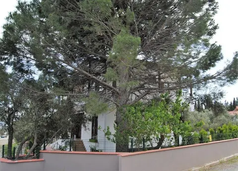 Эдремит: Beyaz Konak Gure Butik Otel