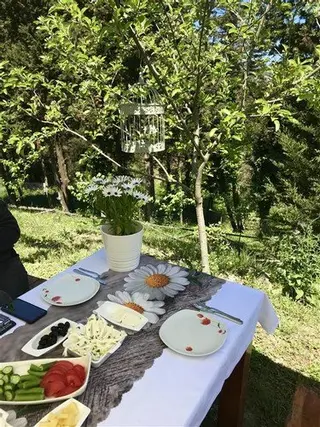 Сайл: Agva Bellavista Otel