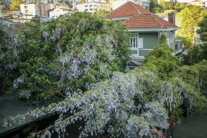 Стамбул: Отель Loop Hotel Bosphorus Istanbul