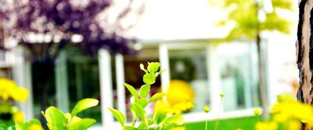 Армутлу: Green House Konak Otel