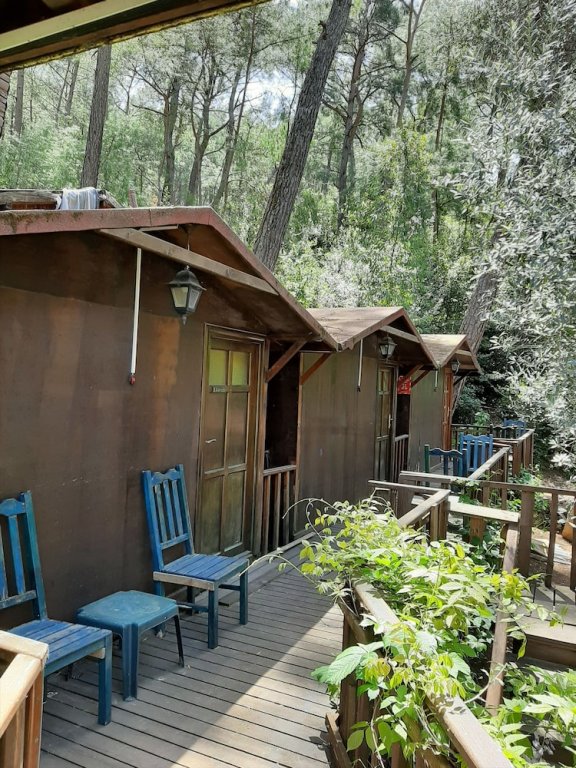Кумлуджа: Olympos Altaris Pansiyon