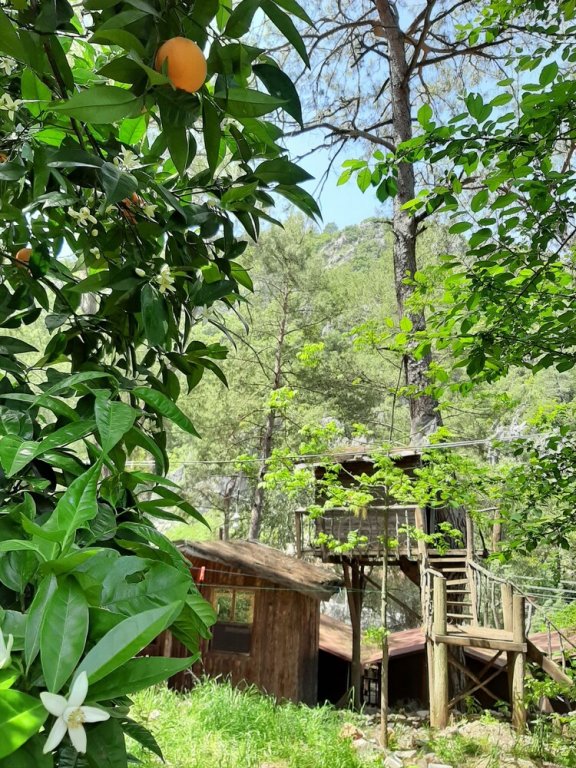 Кумлуджа: Olympos Altaris Pansiyon