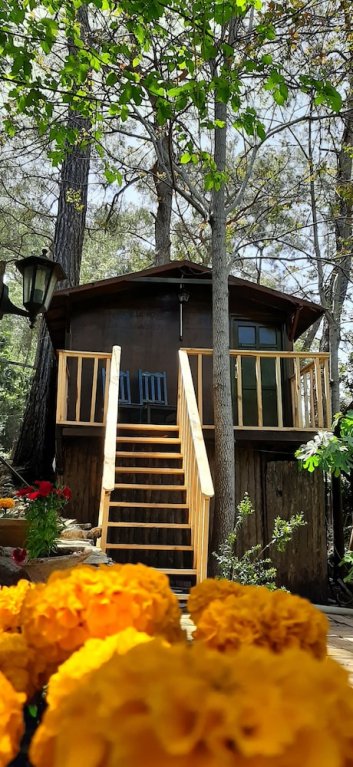 Кумлуджа: Olympos Altaris Pansiyon