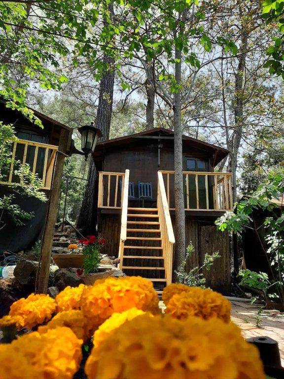 Кумлуджа: Olympos Altaris Pansiyon
