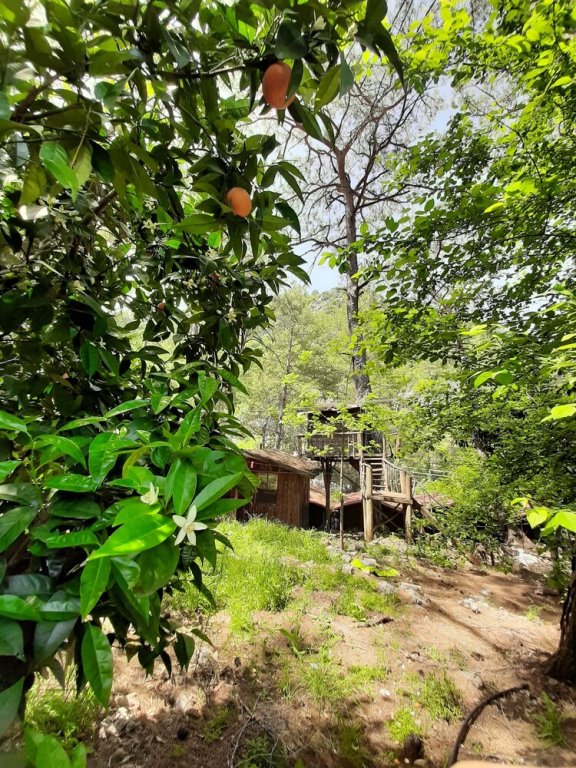 Кумлуджа: Olympos Altaris Pansiyon