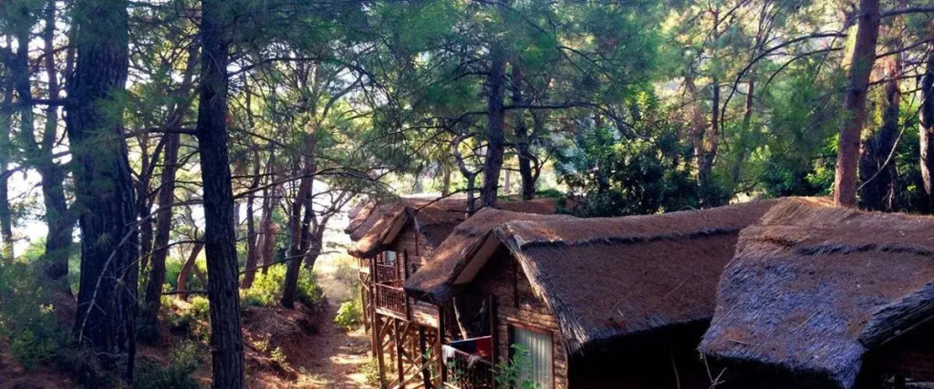 Фетхие: Aloanda House