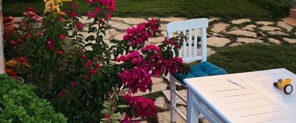Бозджаада: Flora Otel Bozcaada