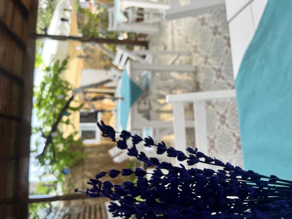 Бозджаада: Hotel Lime Bozcaada