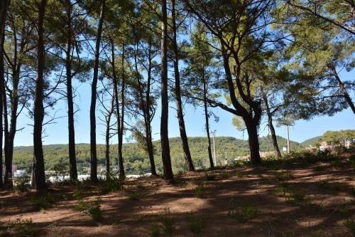 Аланья: Mutlu Bungalow Hotel & Campground