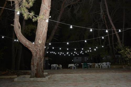 Аланья: Mutlu Bungalow Hotel & Campground