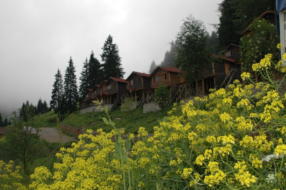 Гюмюшхане: Zitas Zigana Holiday Resort