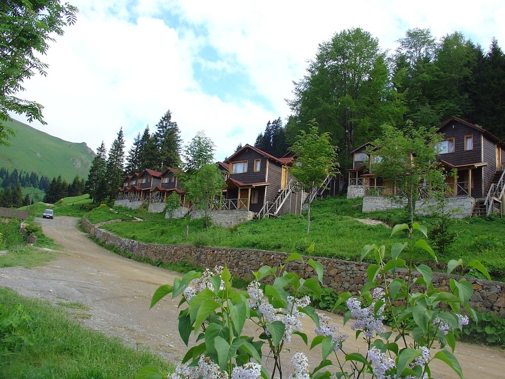 Гюмюшхане: Zitas Zigana Holiday Resort