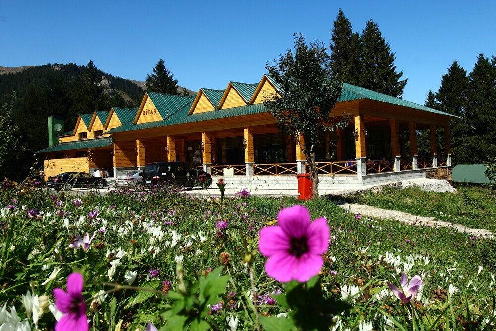 Гюмюшхане: Zitas Zigana Holiday Resort