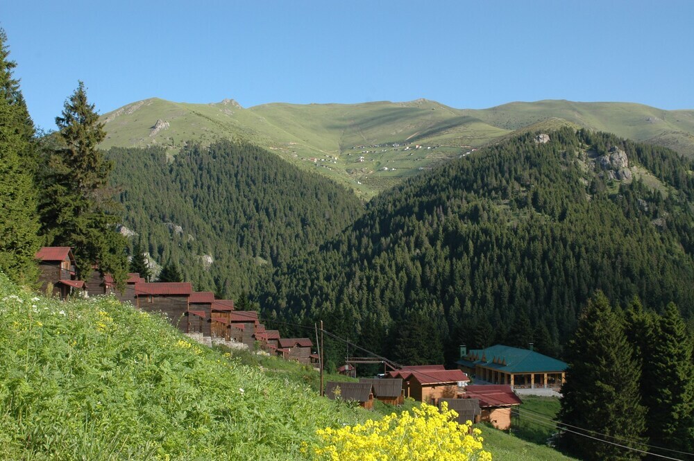 Гюмюшхане: Zitas Zigana Holiday Resort