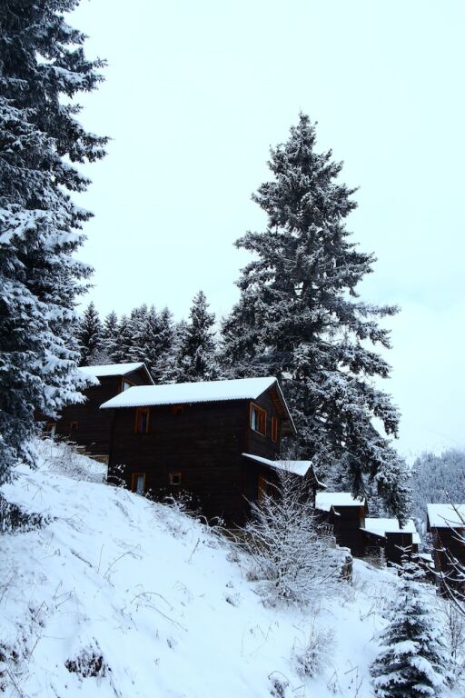 Гюмюшхане: Zitas Zigana Holiday Resort