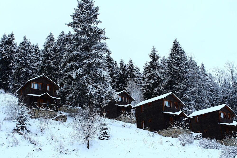 Гюмюшхане: Zitas Zigana Holiday Resort