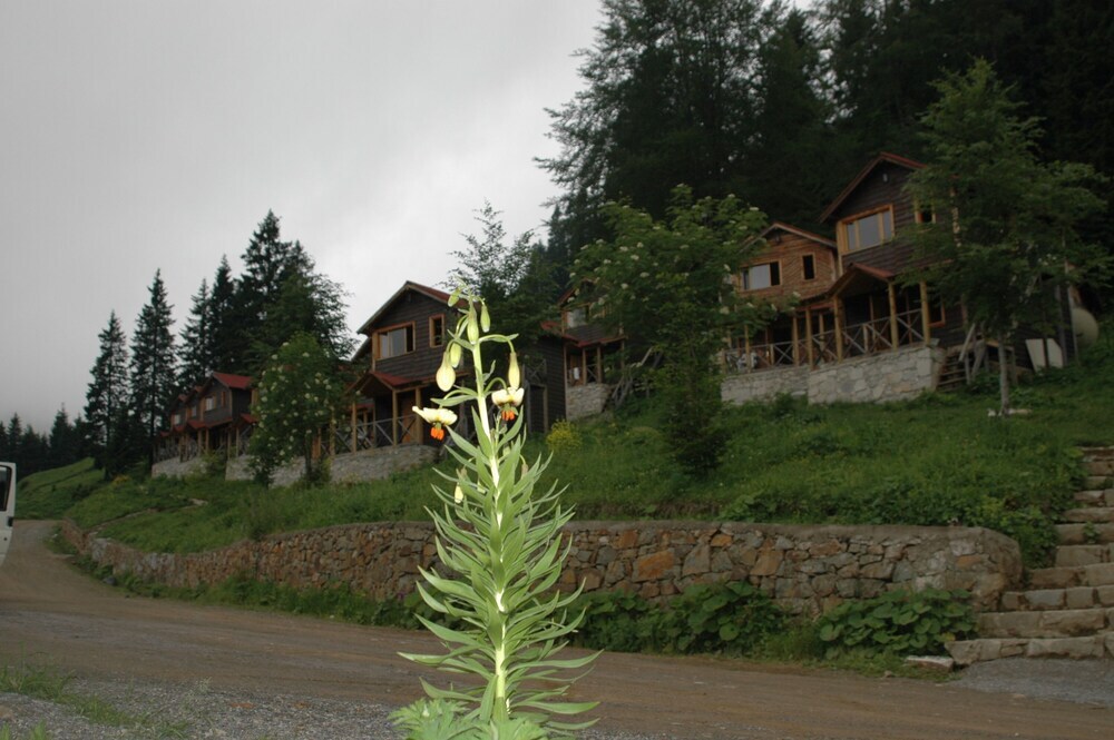Гюмюшхане: Zitas Zigana Holiday Resort