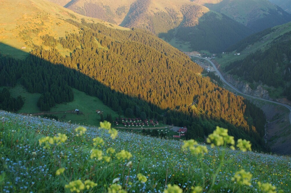 Гюмюшхане: Zitas Zigana Holiday Resort