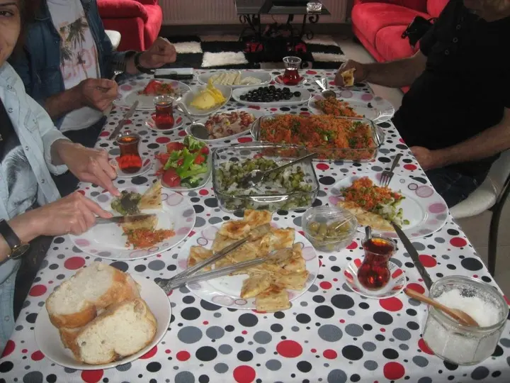 Орду: Ekolojik Güney Köy Pembe Köşk