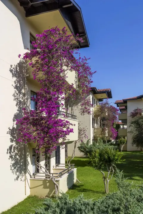 Манавгат: Melas Holiday Village - All Inclusive