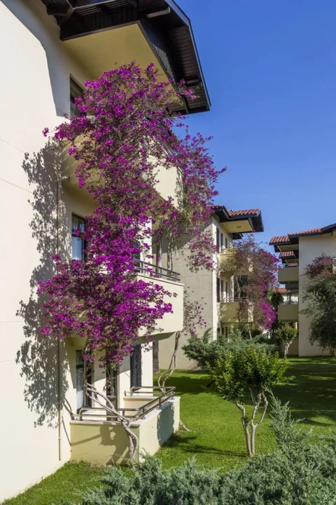 Манавгат: Melas Holiday Village - All Inclusive