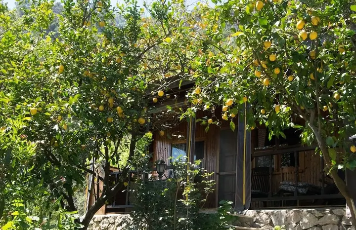 Чамьюва: Kairos Bungalows