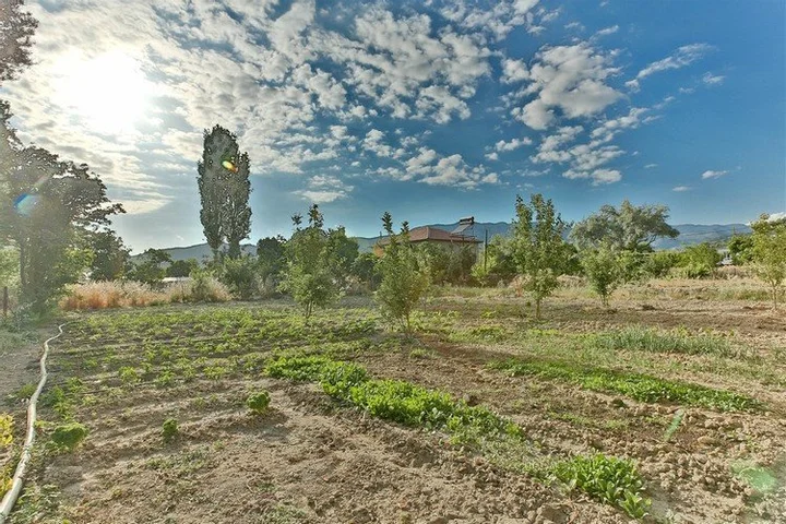 Сарыбелен: Villa Gok