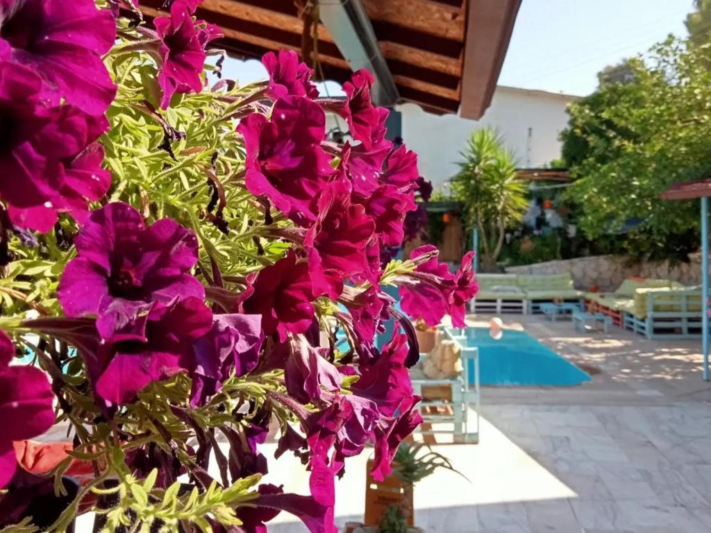 Tuthaliya Hotel — фото 1