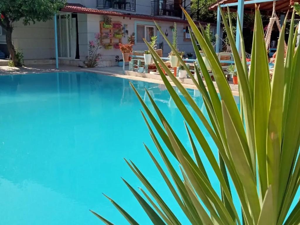 Патара: Tuthaliya Hotel