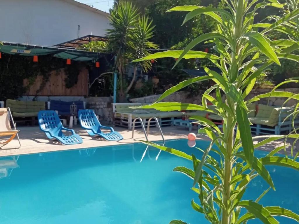 Патара: Tuthaliya Hotel