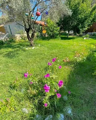 Датча: Datca Moria Tatil Evleri Bungalov