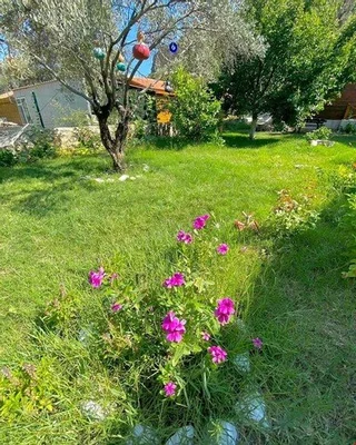 Датча: Datca Moria Tatil Evleri Bungalov
