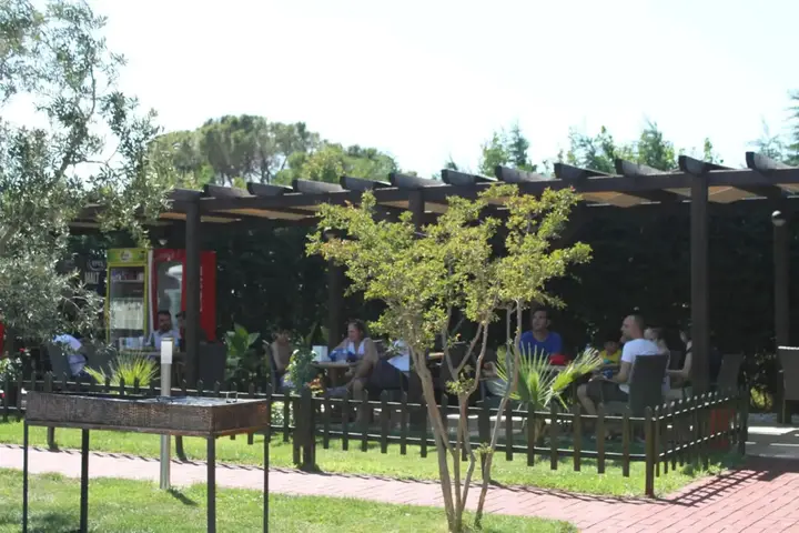 carousel image 4