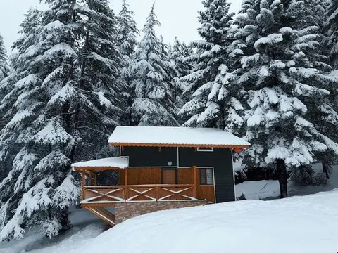 Кахраманмарас: Başkonuş Yaylası Orman Evleri