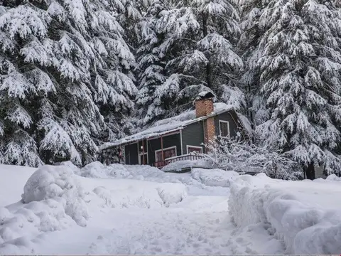 Başkonuş Yaylası Orman Evleri — фото 3