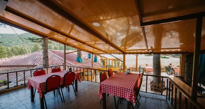 Кахраманмарас: Başkonuş Yaylası Orman Evleri