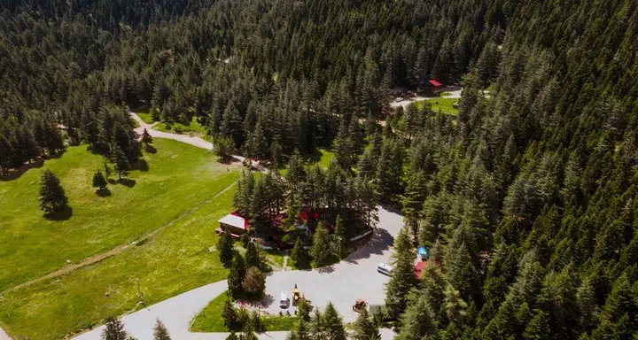 Кахраманмарас: Başkonuş Yaylası Orman Evleri