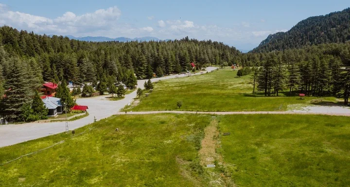 Кахраманмарас: Başkonuş Yaylası Orman Evleri